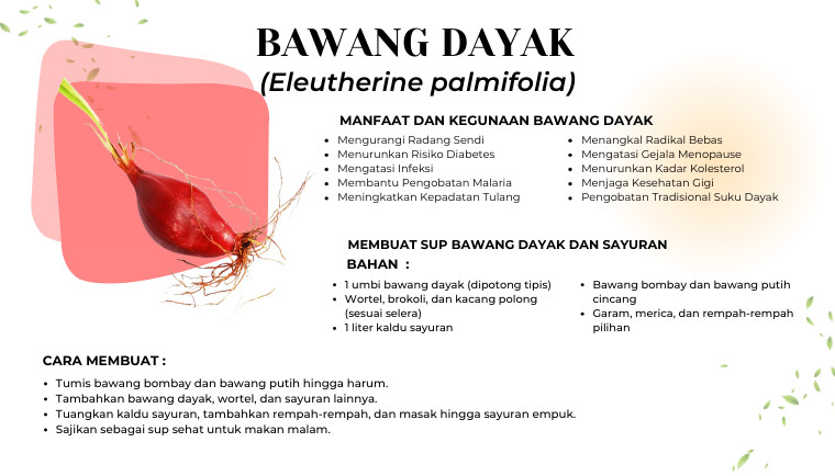 Bawang Dayak