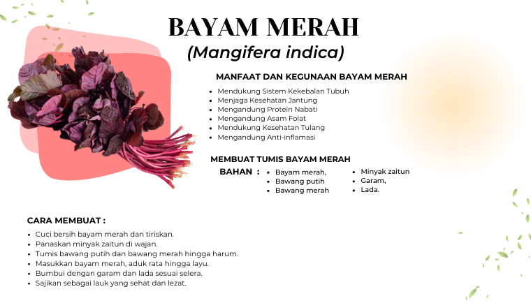Bayam Merah