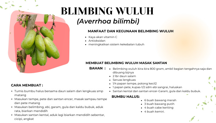 Belimbing Wuluh