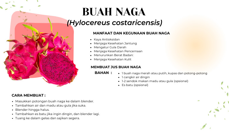 Buah Naga