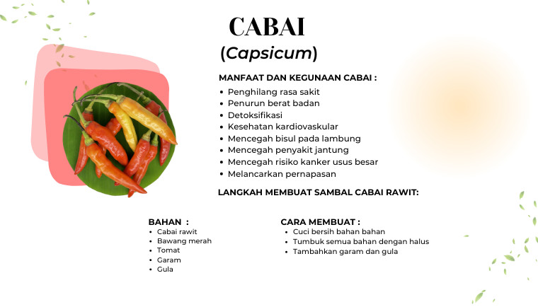 Cabai
