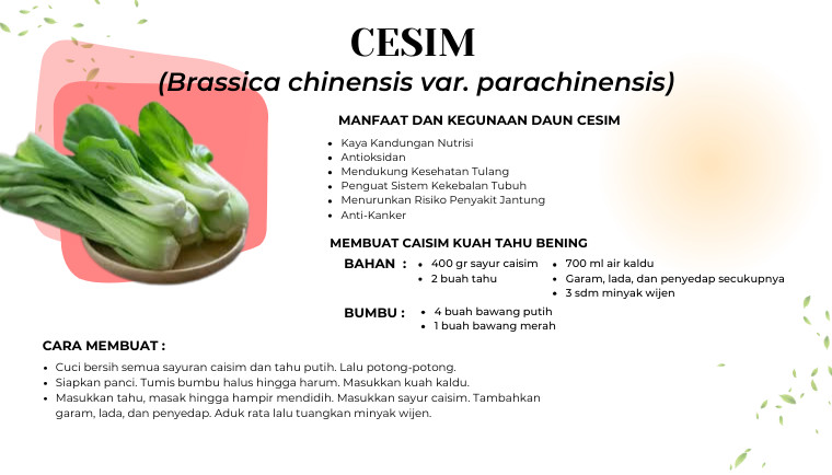 Caisim
