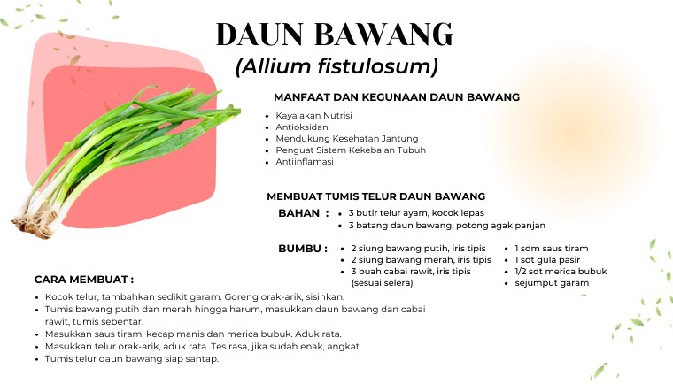 Daun Bawang