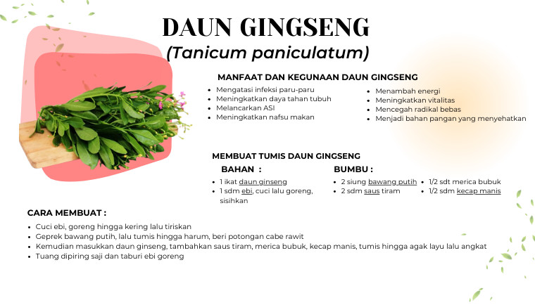Daun Gingseng