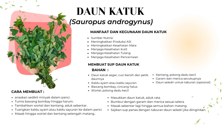 Daun Katuk