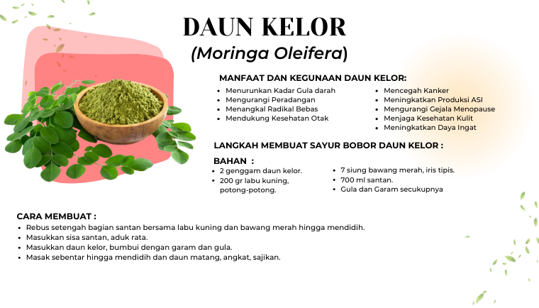 Daun Kelor