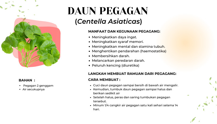 Daun Pegagan