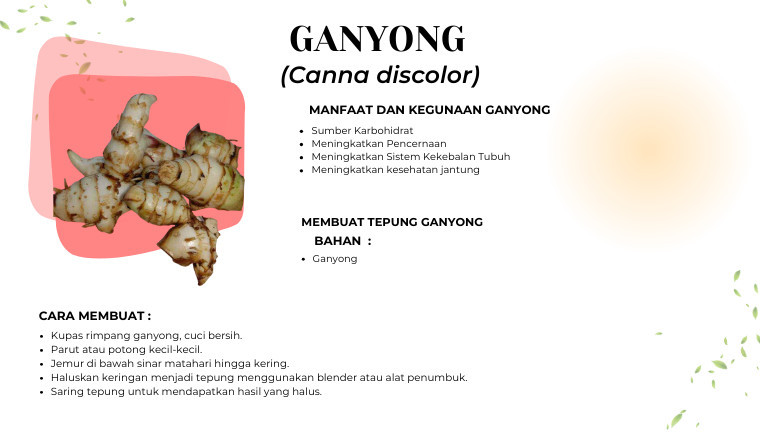 Ganyong