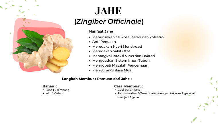 Jahe
