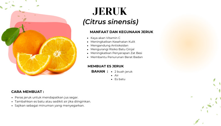 Jeruk