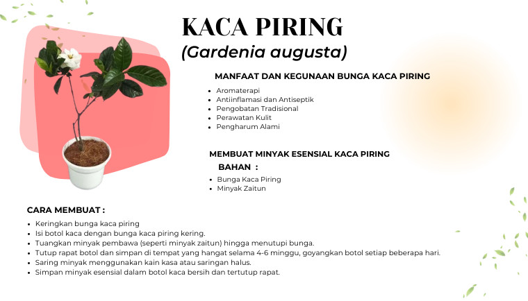 Kaca Piring