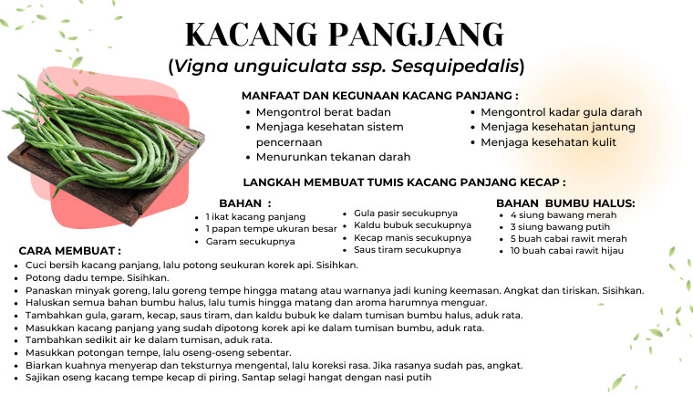 Kacang Panjang