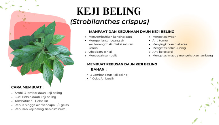 Keji Belling