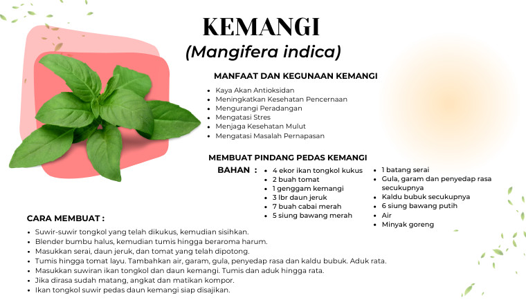 Kemangi