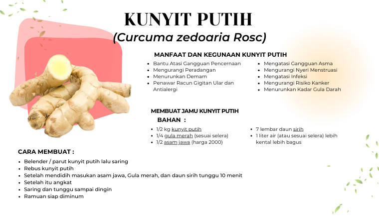 Kunyit Putih