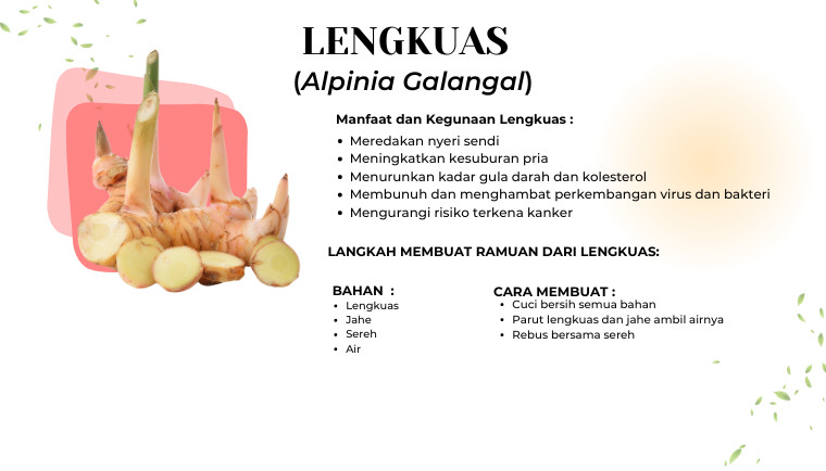 Lengkuas