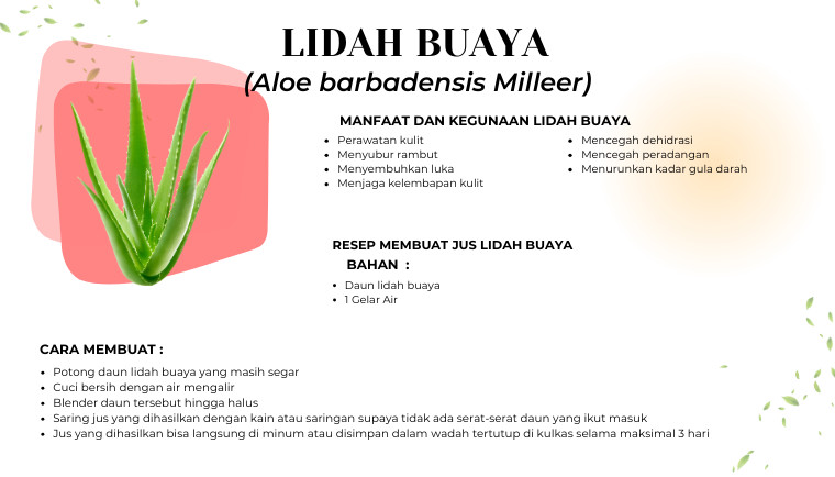 Lida Buaya