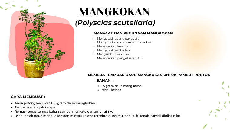 Mangkokan