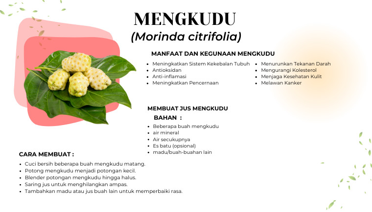 Mengkudu