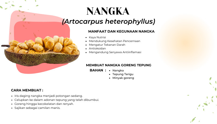 Nangka