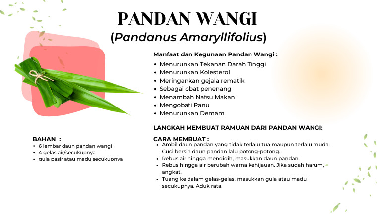 Pandan Wangi