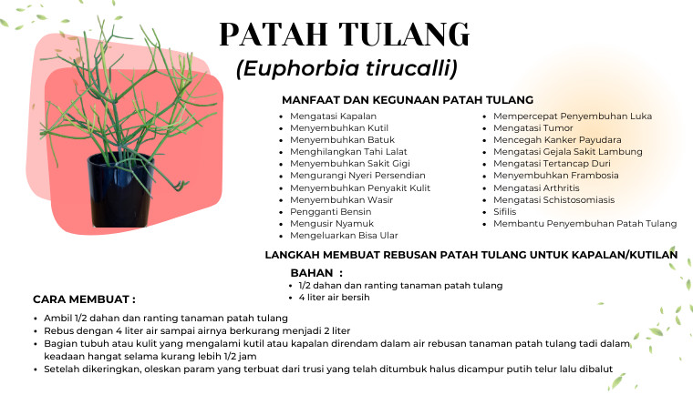 Patah Tulang