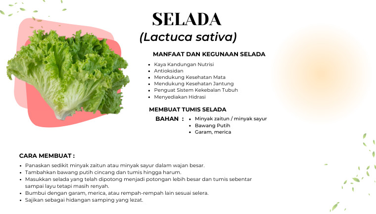 Selada