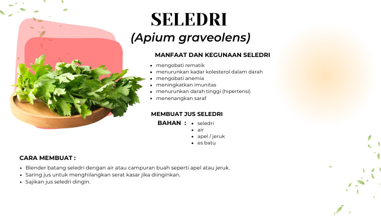 Seledri