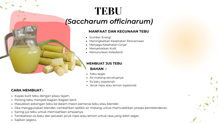 Tebu