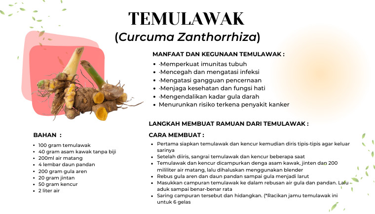 Temulawak