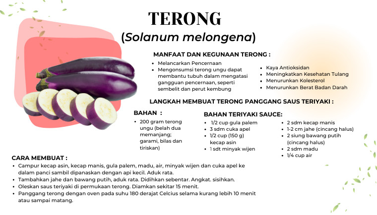 Terong